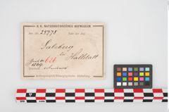 Foto von Bronzearmreif (NHMW-PRAE-025778)